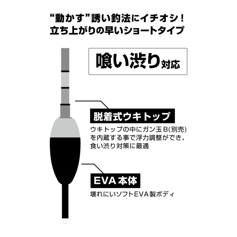 BJF-3